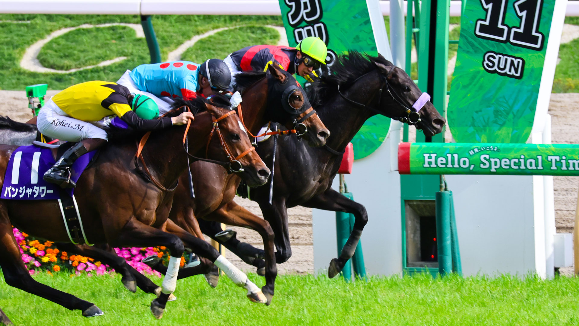 2025年東京競馬場・NHKマイルCのゴール前で3頭が接戦、内にマジックサンズ、中央に出資馬のチェルビアット、外に勝馬のパンジャタワー
