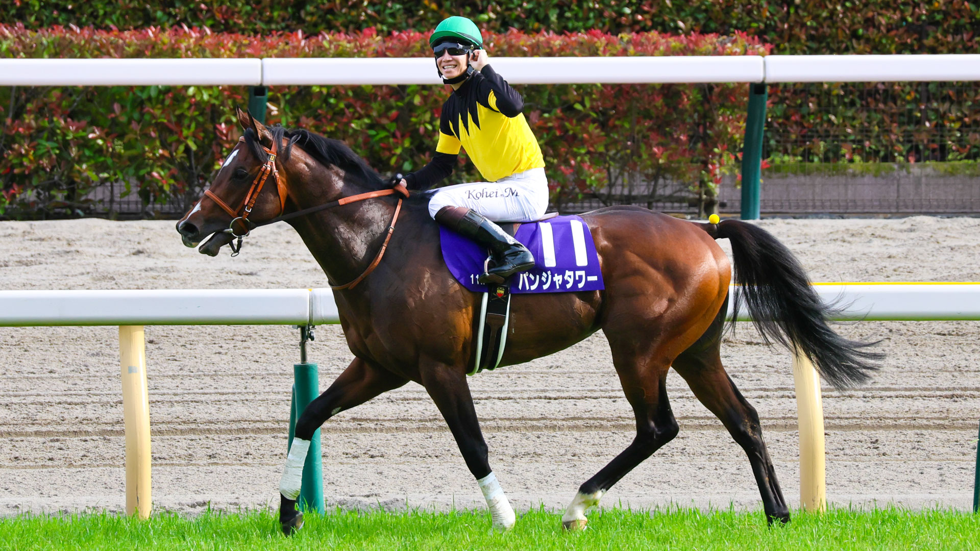 2025年5月11日、東京競馬場で行われたNHKマイルカップのウイニングランで撮影された写真。パンジャタワーの背で松山弘平騎手が笑顔でガッツポーズを決める、歓喜の瞬間を捉えた一枚