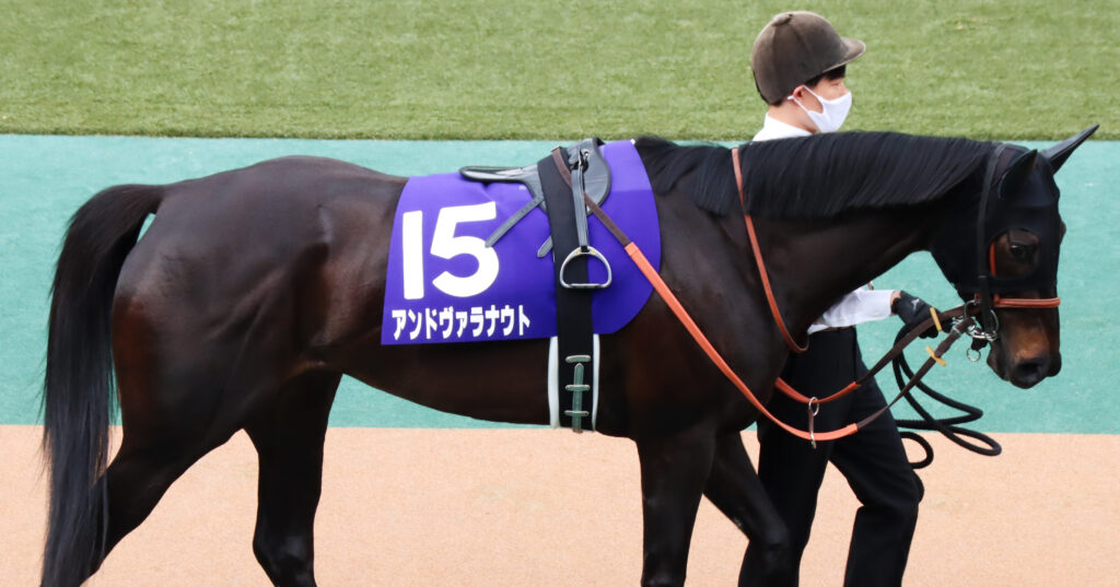 2022年ヴィクトリアマイルのパドックで、落ち着いた様子で周回するアンドヴァラナウト