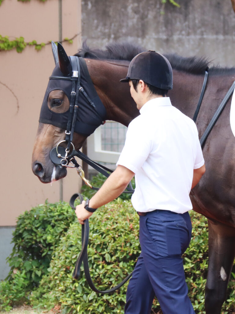 2023年7月30日、新潟競馬場のパドックで撮影したメイクデビュー当日の出資馬カンティアーモ