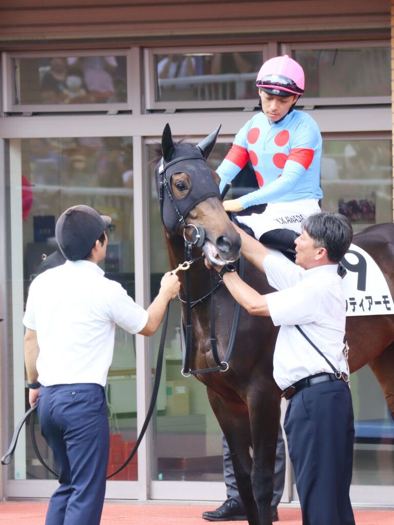 2023年7月30日新潟競馬場のパドック、メイクデビュー当日に川田将雅騎手が騎乗した出資馬カンティアーモ