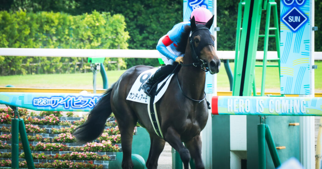 2023年7月30日、新潟競馬場でメイクデビューを迎える出資馬カンティアーモと川田将雅騎手の返し馬シーン