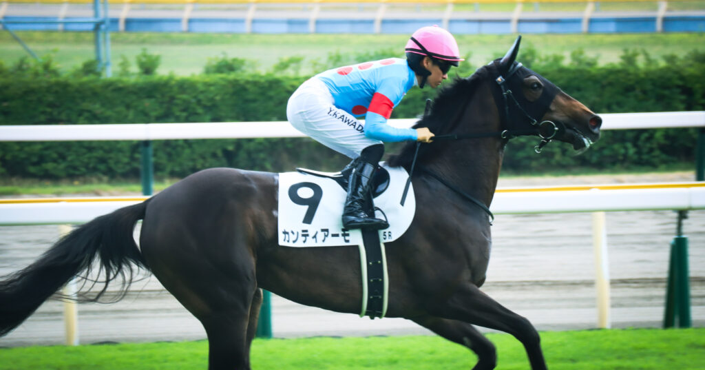 2023年7月30日、新潟競馬場でメイクデビューを迎える出資馬カンティアーモと川田将雅騎手の返し馬シーン