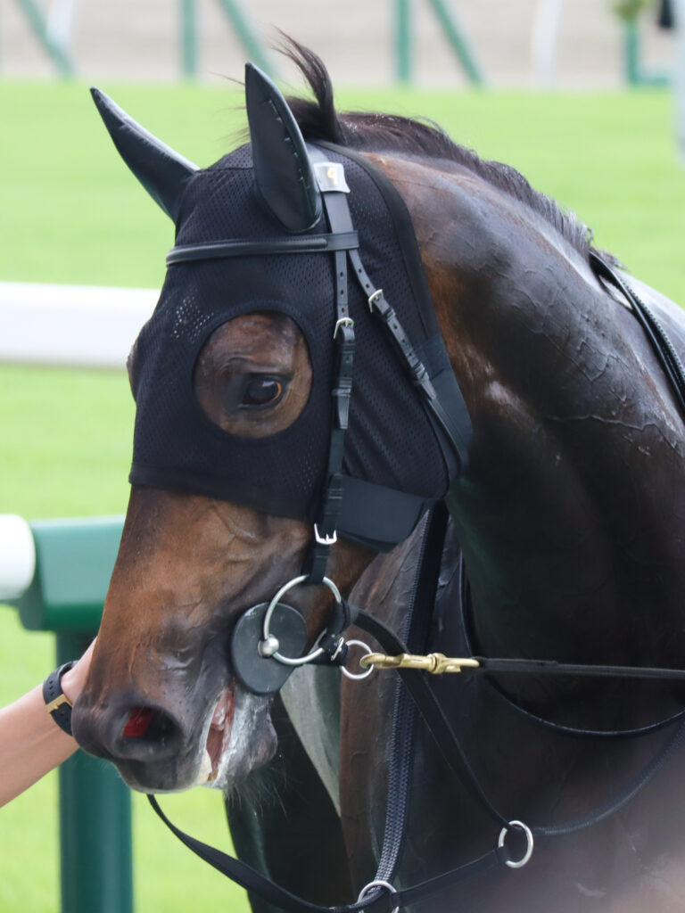 2023年7月30日新潟競馬場のメイクデビュー新馬戦でレコード勝利後、ウイナーズサークルに立つ出資馬カンティアーモ