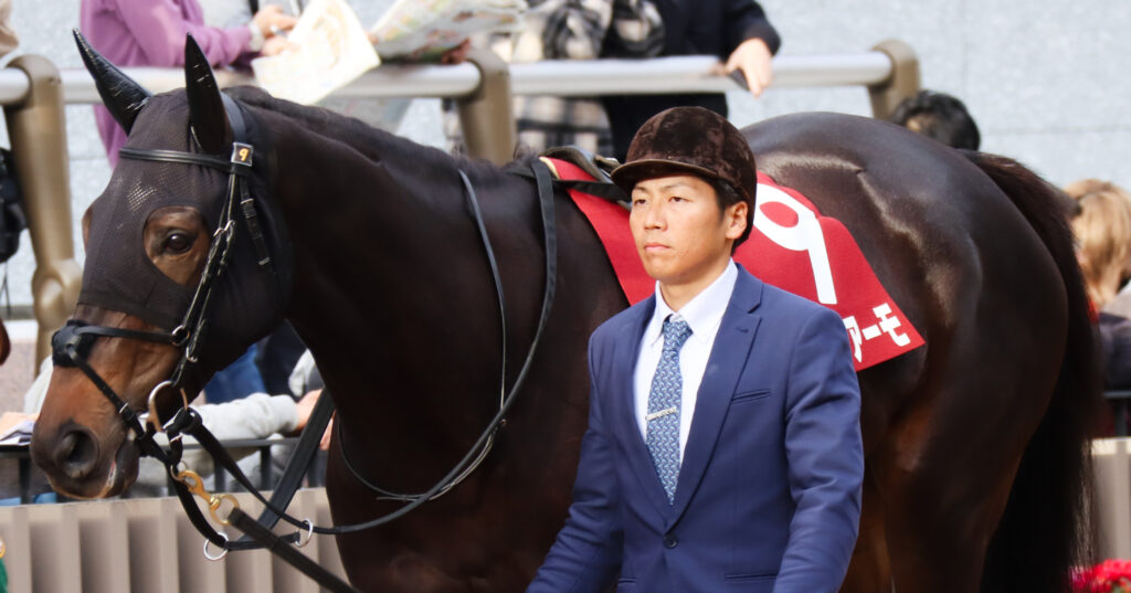 2023年11月11日京都競馬場のデイリー杯2歳ステークス、パドックで落ち着いた様子を見せる出資馬カンティアーモ