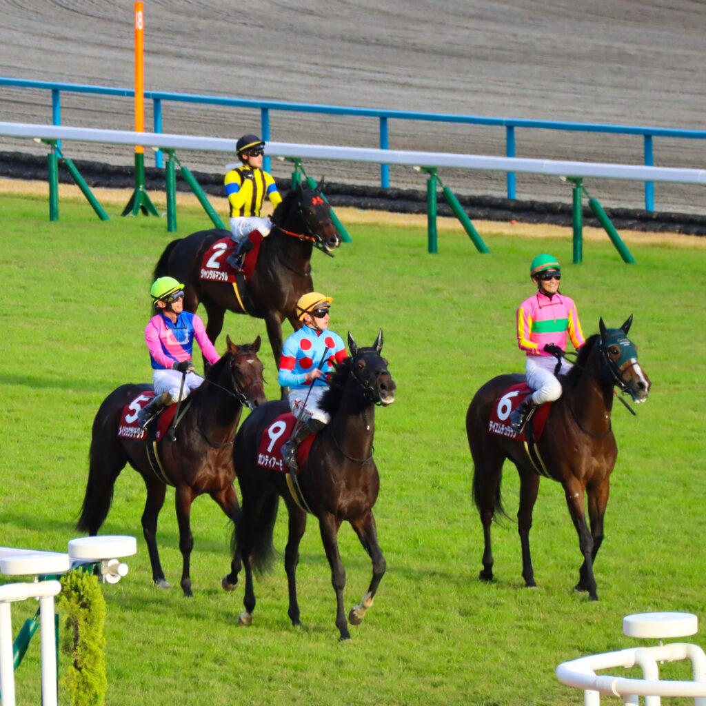 2023年11月11日京都競馬場、デイリー杯2歳ステークス出走後に引き上げるトム・マーカンド騎手騎乗の出資馬カンティアーモ（中央）