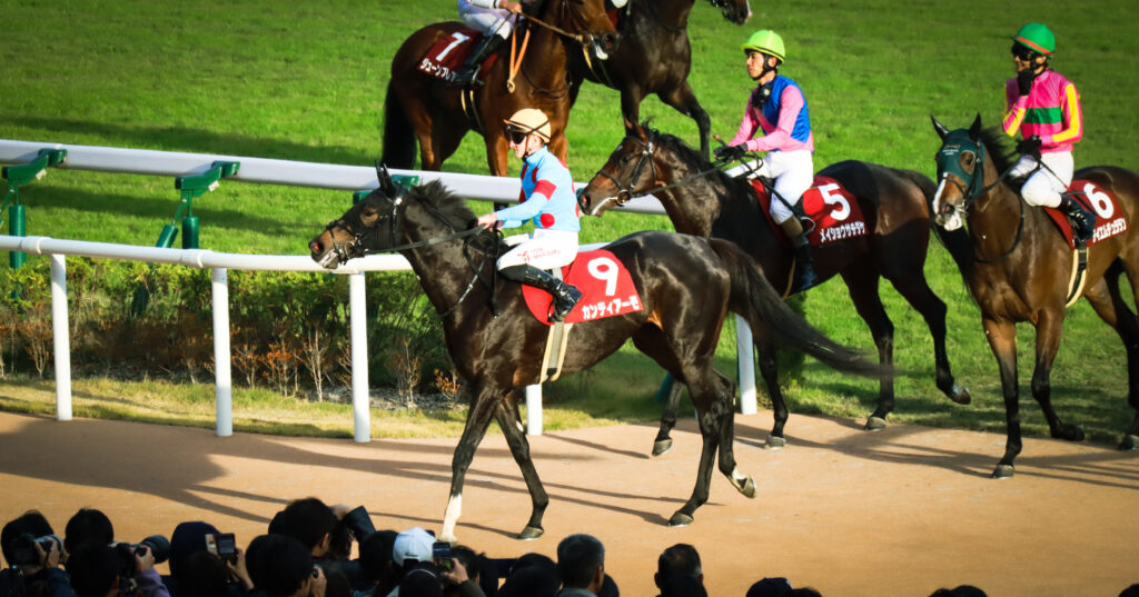 2023年11月11日京都競馬場、デイリー杯2歳ステークス出走後に引き上げるトム・マーカンド騎手騎乗の出資馬カンティアーモ（中央）