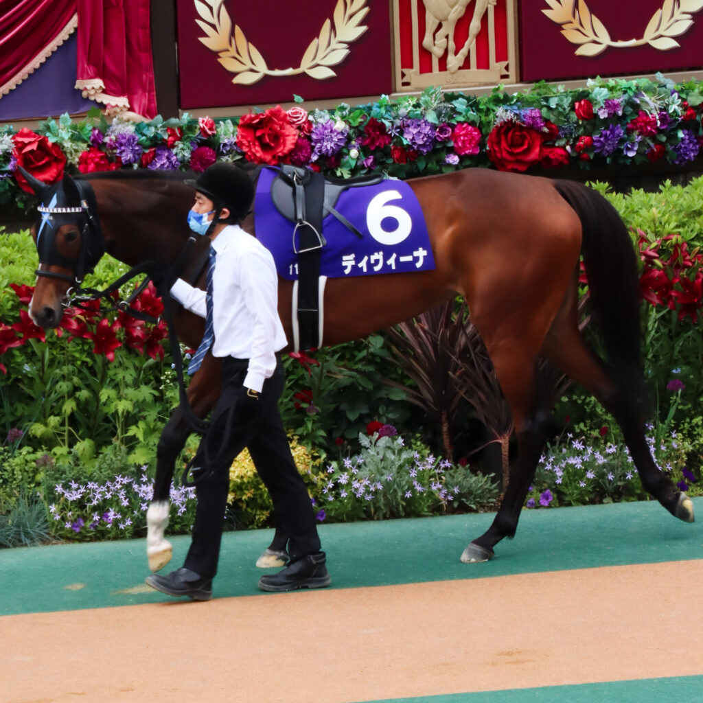2022年5月15日東京競馬場・ヴィクトリアマイルのパドックで堂々と周回するディヴィーナの姿