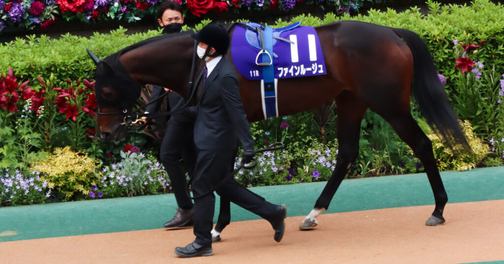 2022年5月15日東京競馬場・ヴィクトリアマイルのパドックで落ち着いた気配を見せるファインルージュの姿