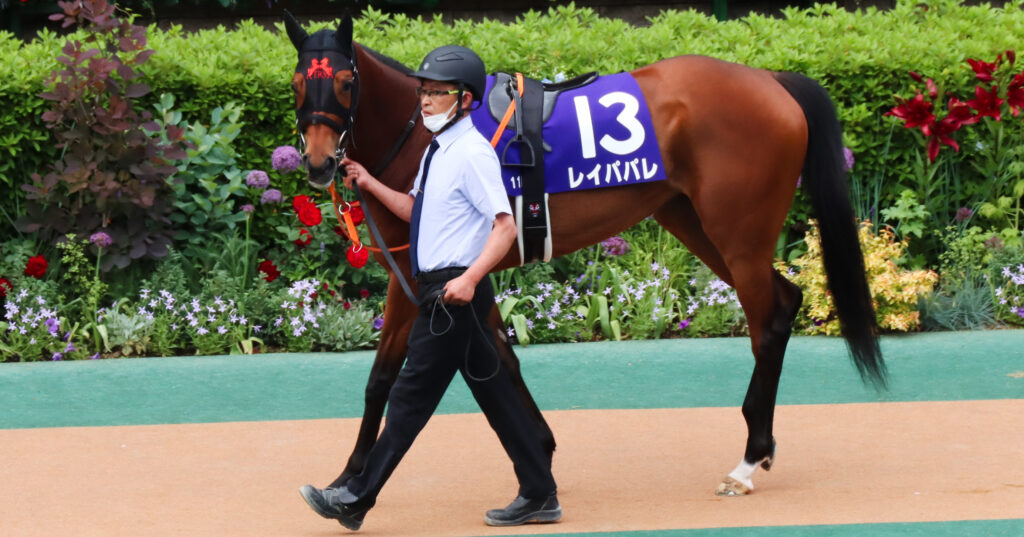 パドックでそっとこちらを見つめるレイパパレ。静かに闘志を秘めた瞳（2022年ヴィクトリアマイル・東京競馬場）