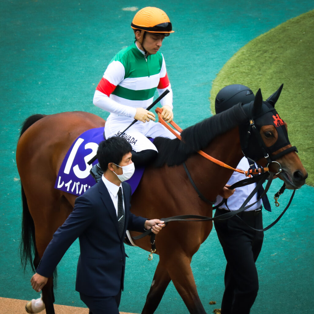 2022年ヴィクトリアマイルのパドックでのレイパパレと川田将雅騎手の一枚。静かな闘志が伝わる姿。