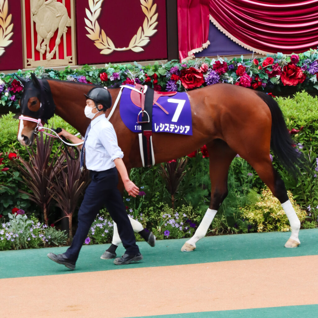 2022年5月15日東京競馬場・ヴィクトリアマイルのパドックで落ち着いて周回するレシステンシアの姿