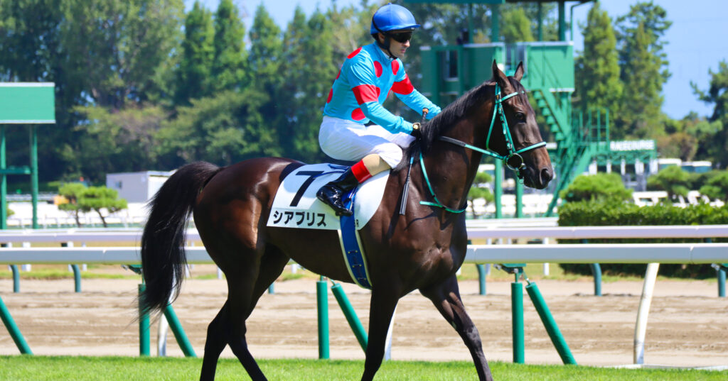 2023年9月3日新潟競馬場で行われた新馬戦、返し馬でルメール騎手が騎乗し落ち着いて馬場入りする出資馬シアブリスのレース前写真