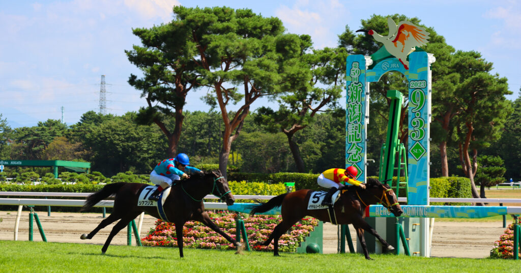 2023年9月3日新潟競馬場のメイクデビュー新馬戦、ゴール前でルメール騎手を背に勝ち馬を追い詰める出資馬シアブリスの力走