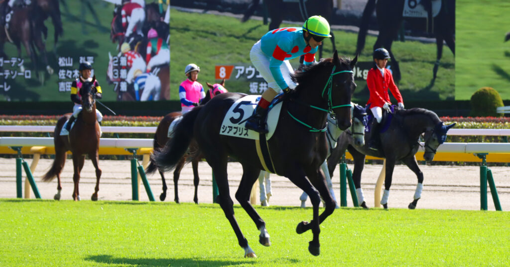 2023年10月21日東京競馬場の未勝利戦、返し馬でクリストフ・ルメール騎手が騎乗する出資馬シアブリスのレース前写真