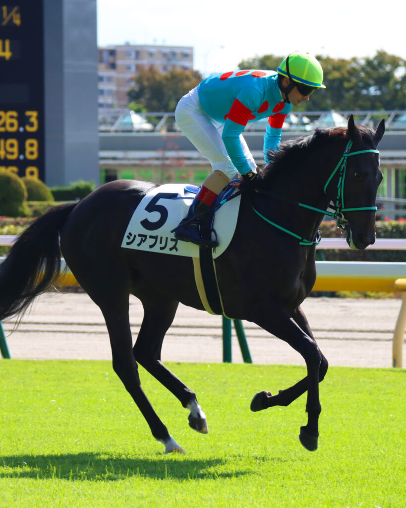 2023年10月21日東京競馬場の未勝利戦、返し馬でクリストフ・ルメール騎手が騎乗する出資馬シアブリスのレース前写真
