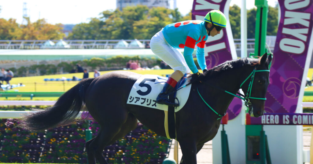 2023年10月21日東京競馬場の未勝利戦、返し馬でクリストフ・ルメール騎手が騎乗する出資馬シアブリスのレース前写真