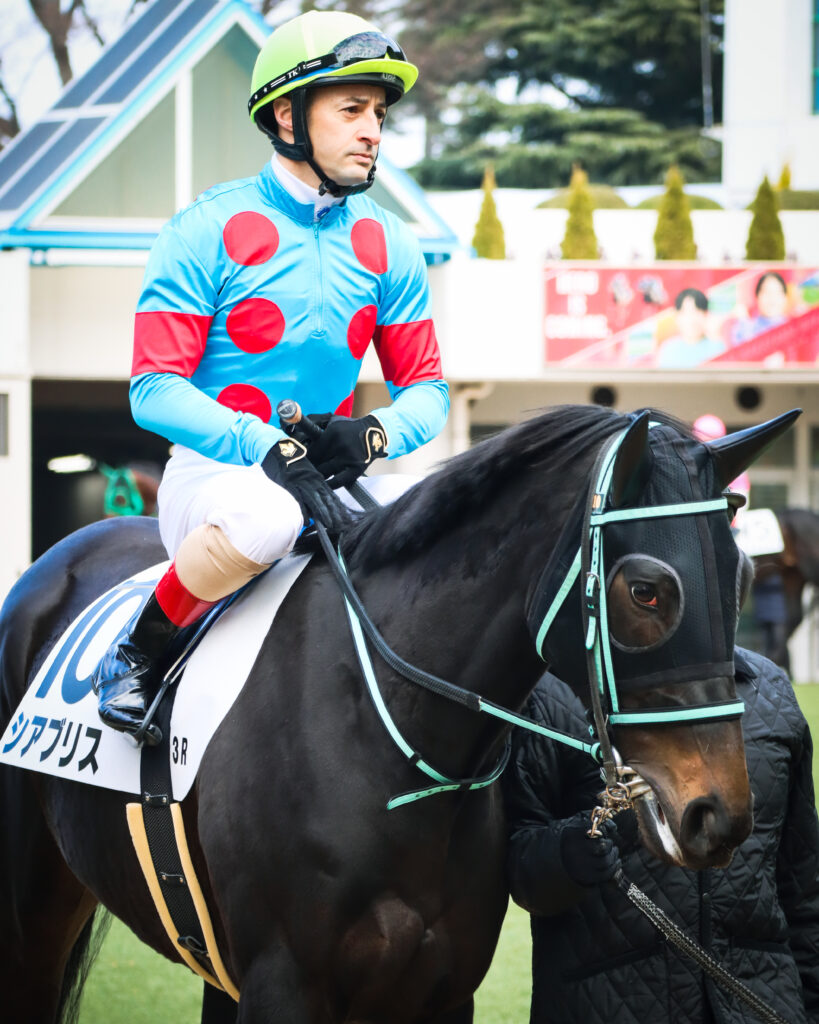 2023年12月28日中山競馬場の未勝利戦、ルメール騎手が騎乗しパドックを落ち着いて周回する出資馬シアブリスの姿