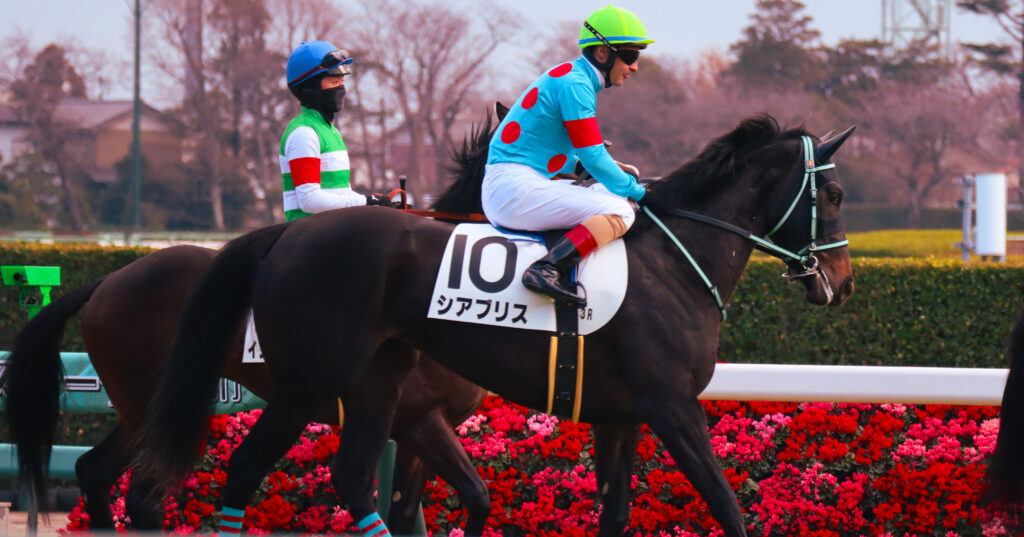 2023年12月28日中山競馬場の未勝利戦、ルメール騎手が騎乗し返し馬を行う出資馬シアブリスのレース前写真