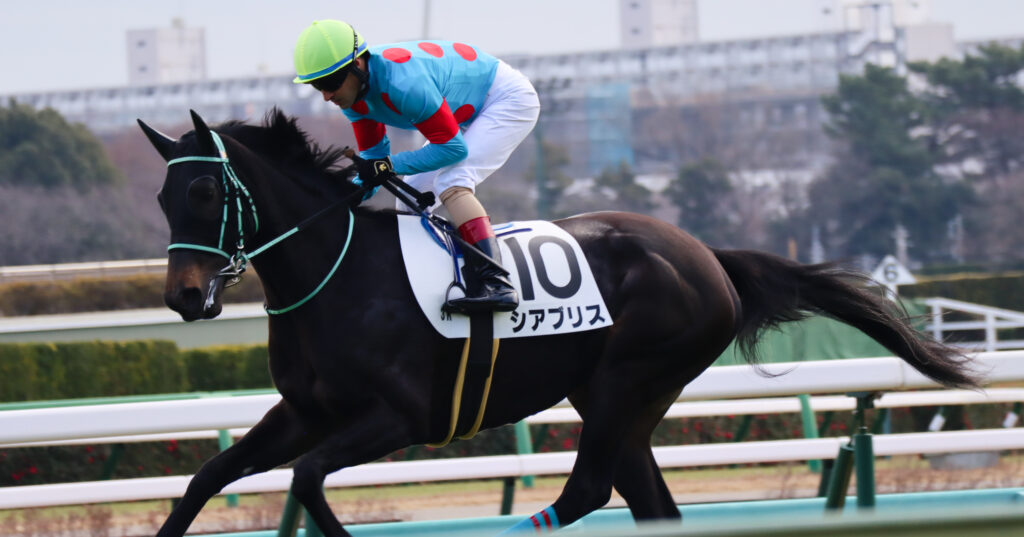 2023年12月28日中山競馬場の未勝利戦、ルメール騎手が騎乗し返し馬を行う出資馬シアブリスのレース前写真
