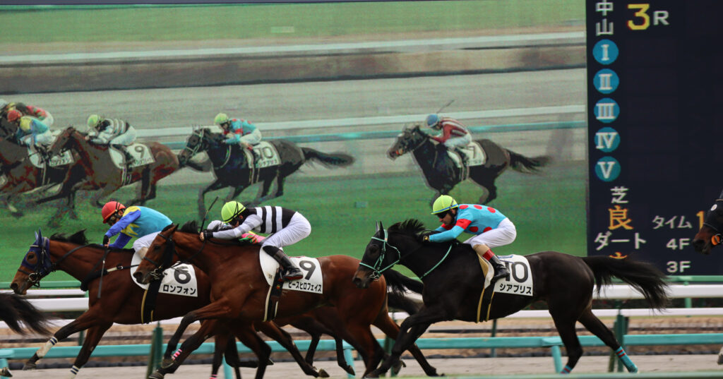 2023年12月28日中山競馬場の未勝利戦、ゴール前で前を行く馬を懸命に追いかける出資馬シアブリスとルメール騎手の姿