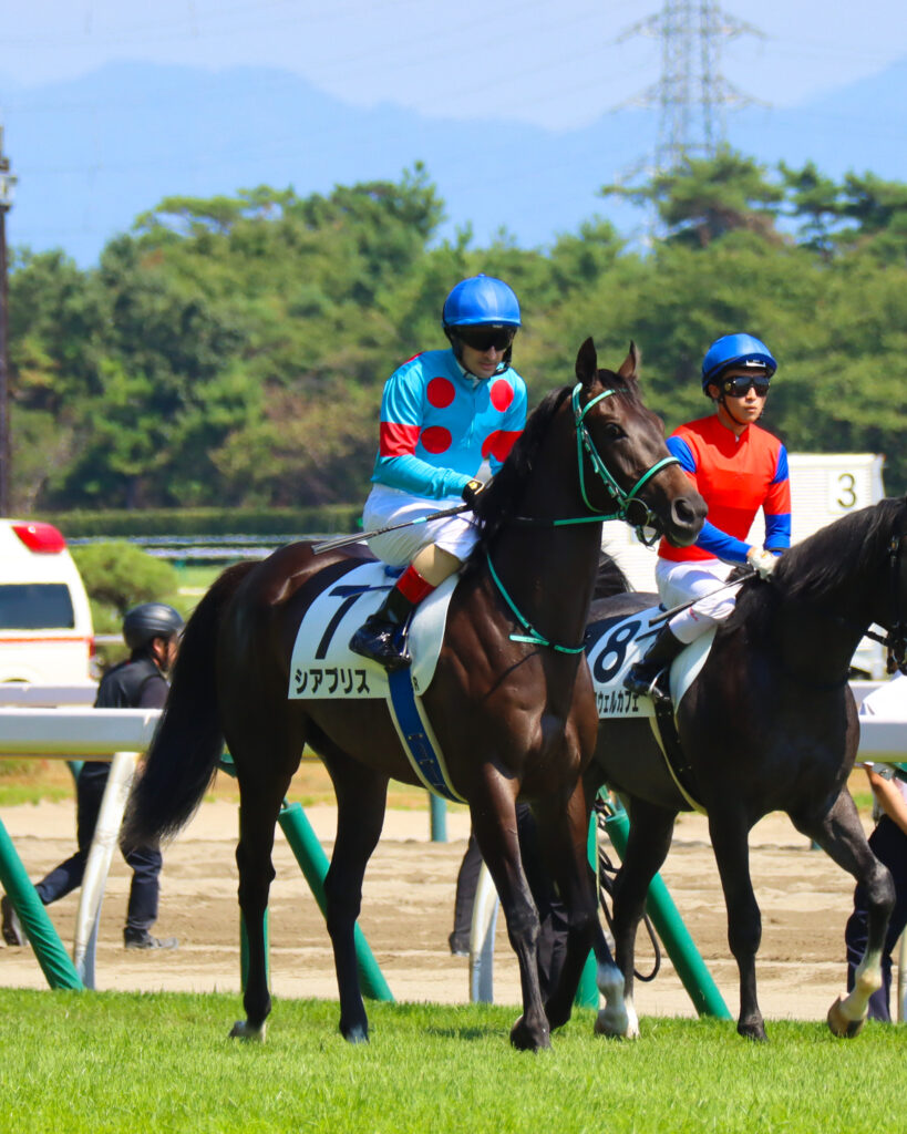 2023年9月3日新潟競馬場で行われた新馬戦、返し馬でルメール騎手が騎乗し落ち着いて馬場入りする出資馬シアブリスのレース前写真