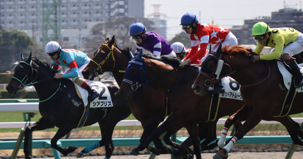 2024年3月16日中山競馬場の未勝利戦、スタート直後にクリストフ・ルメール騎手が騎乗する出資馬シアブリスが前へ位置取りを狙うシーン