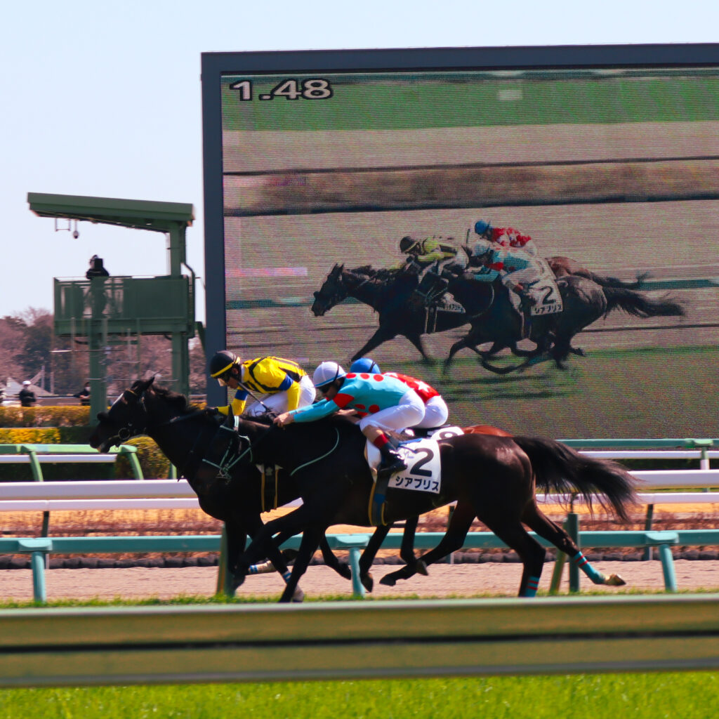 2024年3月16日中山競馬場の未勝利戦、ゴール前で3頭の接戦の中から外を伸びるルメール騎手騎乗の出資馬シアブリスのレース写真