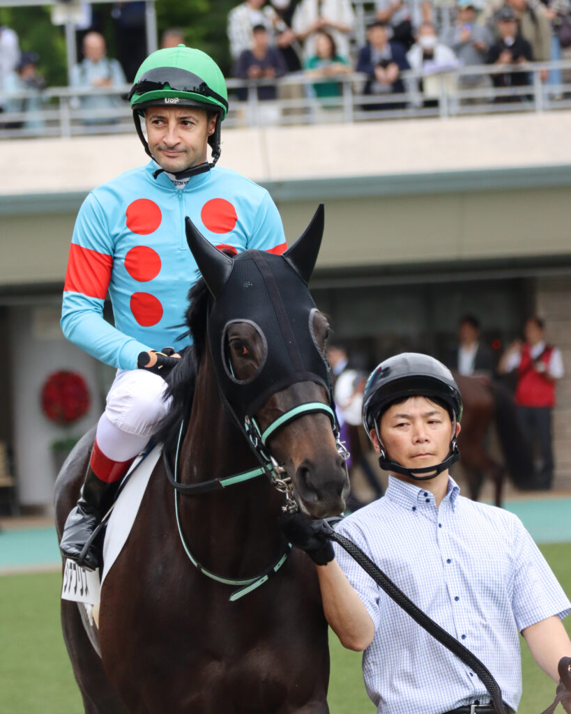 2024年5月12日東京競馬場の未勝利戦、パドックでクリストフ・ルメール騎手が跨る出資馬シアブリスのレース前写真