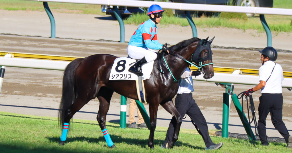 2024年8月17日新潟競馬場の3歳以上1勝クラス、レース直前に返し馬を行う戸崎圭太騎手騎乗の出資馬シアブリスの写真