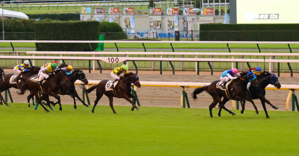 2024年10月19日東京競馬場の3歳以上1勝クラス、ゴール前100mで北村宏司騎手を背に前を懸命に追いかける出資馬シアブリスの姿