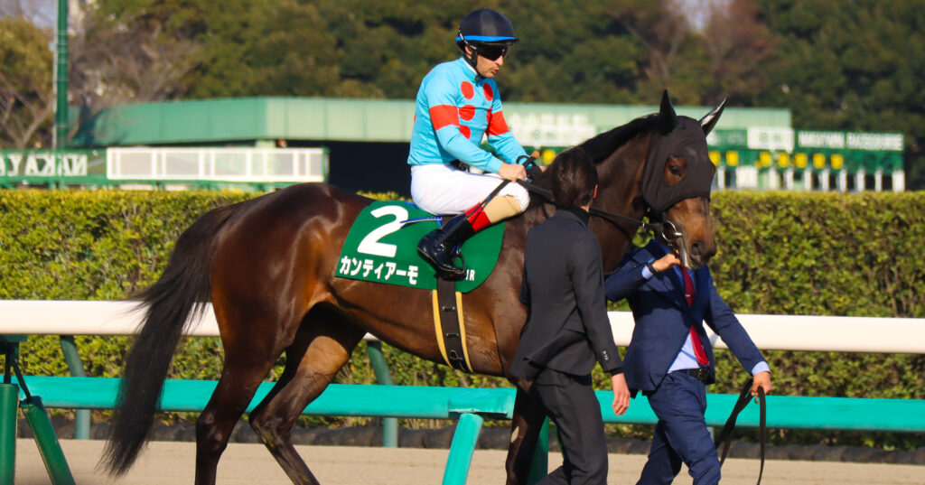 2024年3月16日中山競馬場のフラワーカップで、返し馬を行う出資馬カンティアーモとクリストフ・ルメール騎手