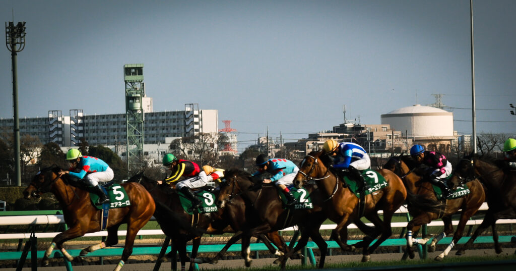 2024年3月16日中山競馬場のフラワーカップで、馬群中央からゴールを目指す出資馬カンティアーモの写真
