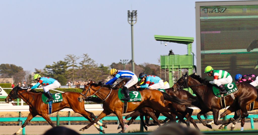 2024年3月16日中山競馬場のフラワーカップで、馬群中央からゴールを目指す出資馬カンティアーモの写真