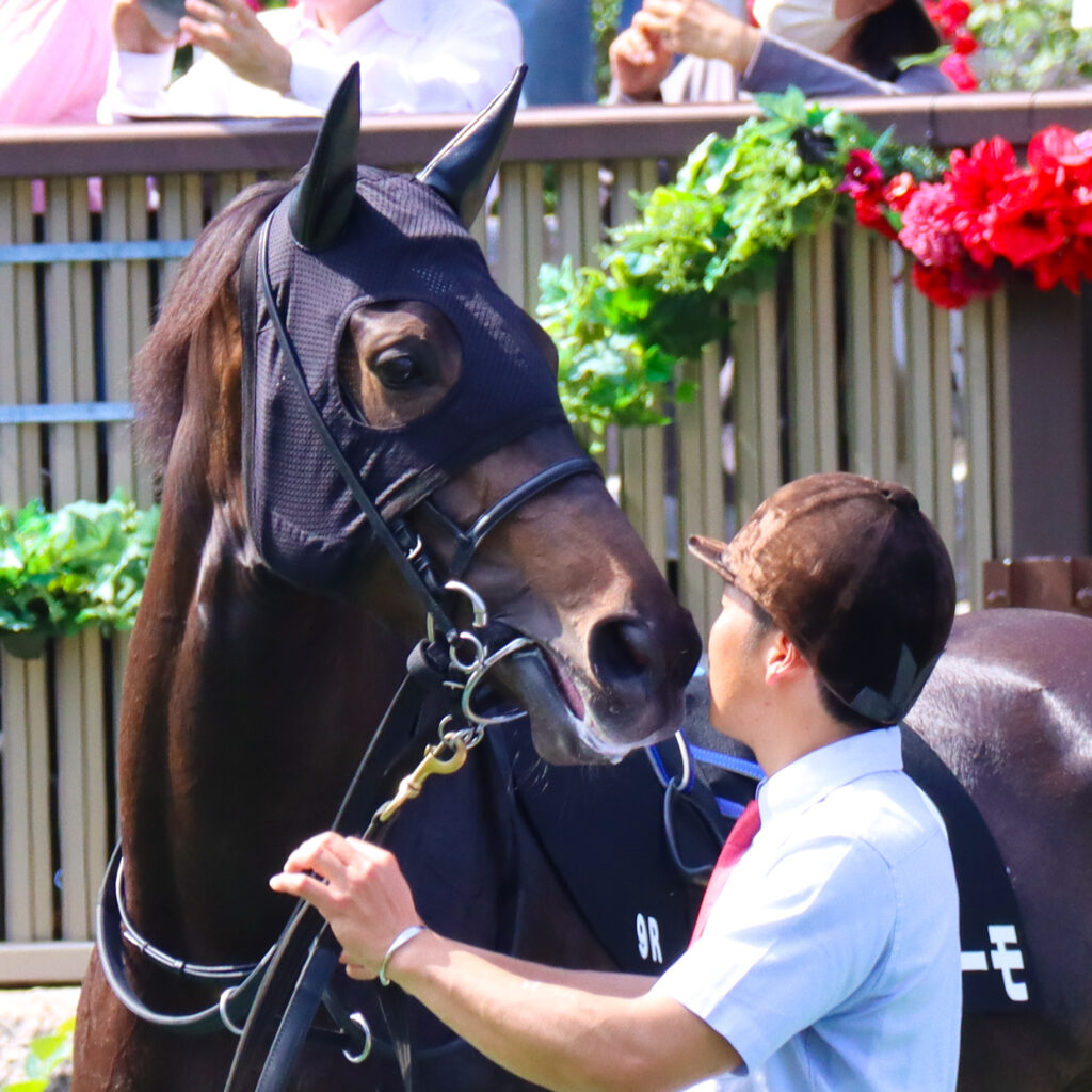 2024年5月18日東京競馬場のカーネーションカップ、パドックを落ち着いた様子で周回する出資馬カンティアーモ