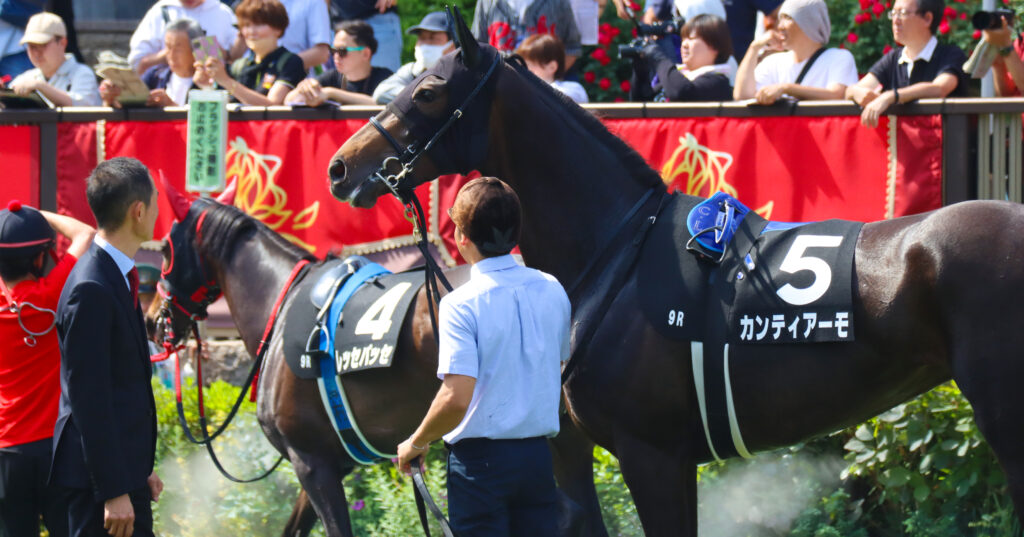 2024年5月18日東京競馬場のカーネーションカップ、パドックで出資馬カンティアーモに木村哲也調教師が近づいてくるシーン