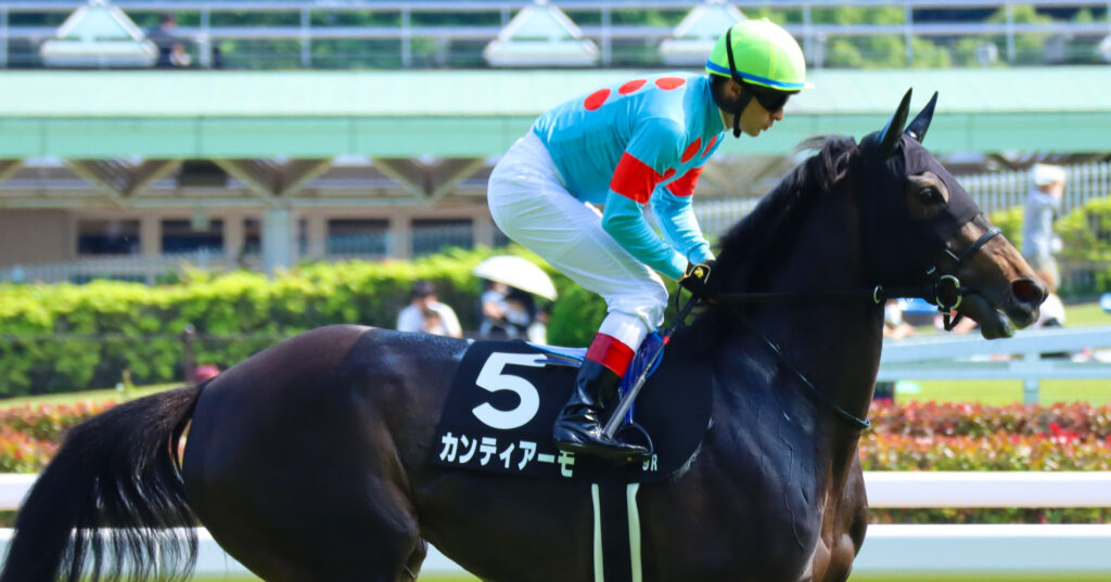 2024年5月18日東京競馬場のカーネーションカップ、返し馬でクリストフ・ルメール騎手が騎乗する出資馬カンティアーモの姿