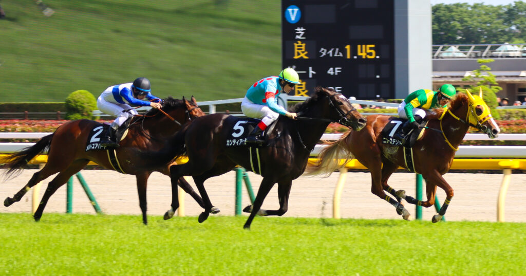 2024年5月18日東京競馬場のカーネーションカップ、ゴール前50mで前の馬を追いかけ加速する出資馬カンティアーモとルメール騎手