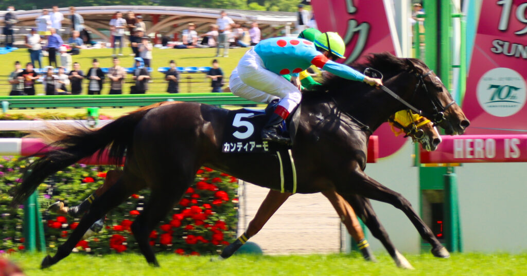 2024年5月18日東京競馬場のカーネーションカップ、ゴール前で前を行く馬を差し切った出資馬カンティアーモの勝利シーン