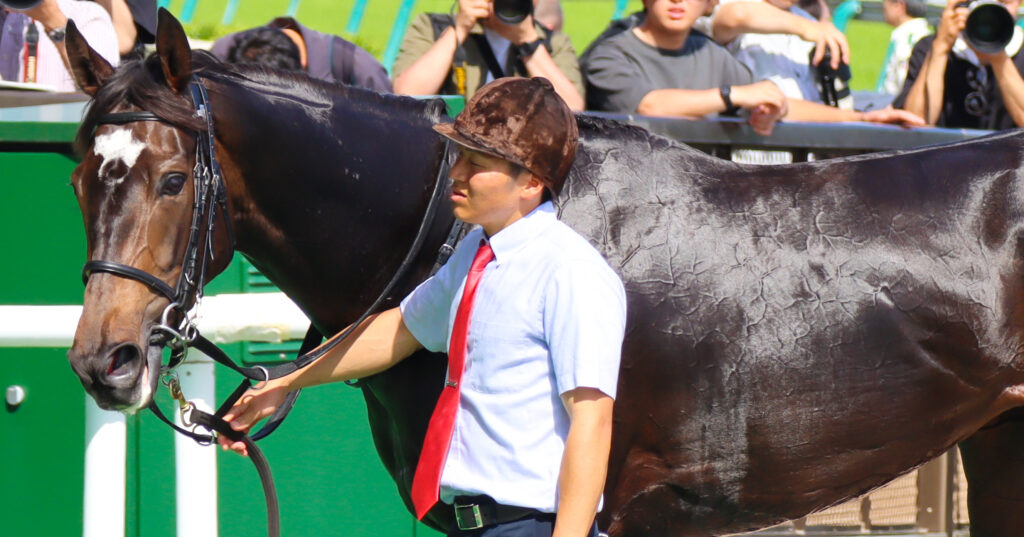 2024年5月18日東京競馬場のカーネーションカップで勝利し、ウイナーズサークルでクールダウンする出資馬カンティアーモ
