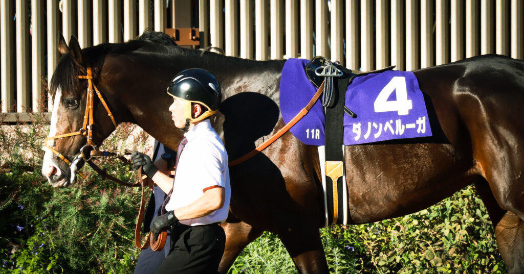 2023年10月29日、東京競馬場の天皇賞（秋）パドックで、気合の入った表情で周回するダノンベルーガ
