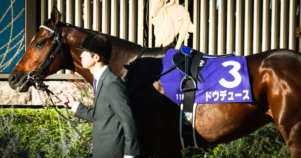 2023年10月29日、東京競馬場・天皇賞（秋）のパドックを周回するドウデュース。瞳には闘志が宿る