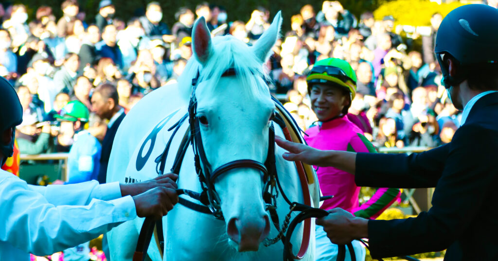 2024年11月30日中山競馬場のメイクデビュー新馬戦、パドックで佇む出資馬エクラドネージュと、奥には笑顔を見せる横山武史騎手の姿が写り込む