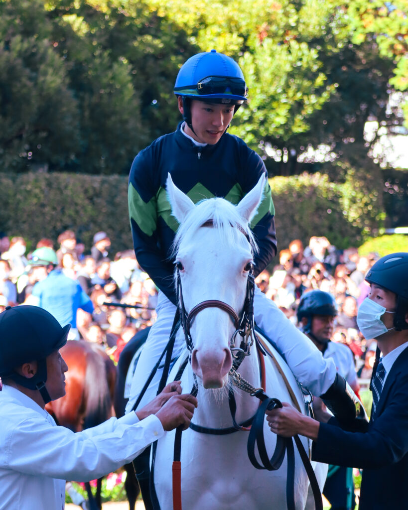 2024年11月30日中山競馬場のメイクデビュー新馬戦、パドックで坂井瑠星騎手が騎乗した出資馬エクラドネージュの初出走前の姿