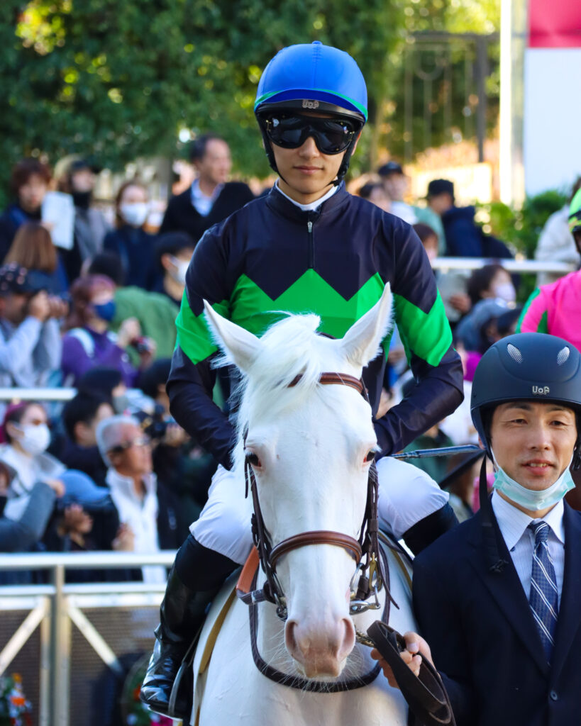2024年11月30日中山競馬場のメイクデビュー新馬戦、パドックで坂井瑠星騎手が騎乗した出資馬エクラドネージュの初出走前の姿
