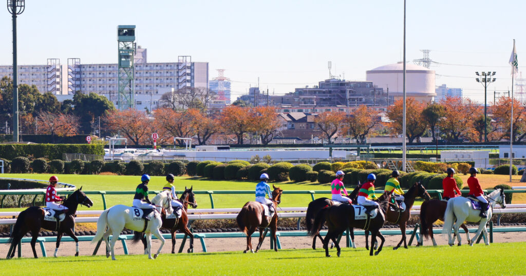 2024年11月30日中山競馬場のメイクデビュー新馬戦、返し馬で坂井瑠星騎手が騎乗する出資馬エクラドネージュの初陣前の姿