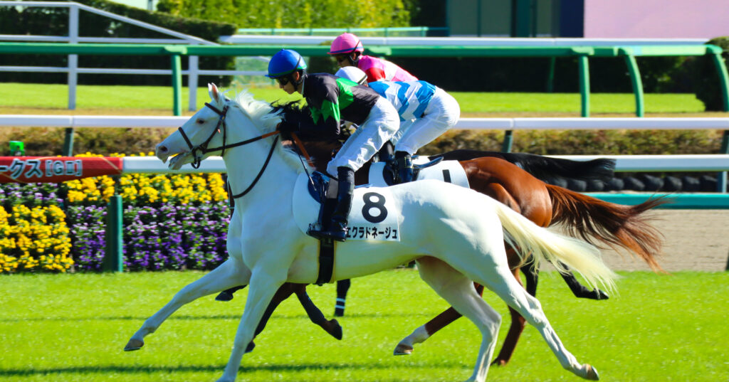 2024年11月30日中山競馬場のメイクデビュー新馬戦、返し馬で坂井瑠星騎手が騎乗する出資馬エクラドネージュの初陣前の姿