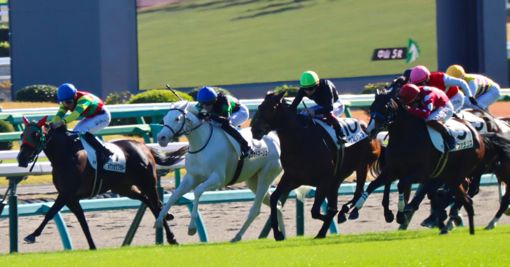 2024年11月30日中山競馬場のメイクデビュー新馬戦、ゴール前で坂井瑠星騎手を背に一生懸命に走る出資馬エクラドネージュの姿