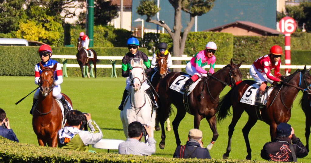 2024年11月30日中山競馬場のメイクデビュー新馬戦、レースを終えて坂井瑠星騎手とともに検量室へ戻る出資馬エクラドネージュの姿