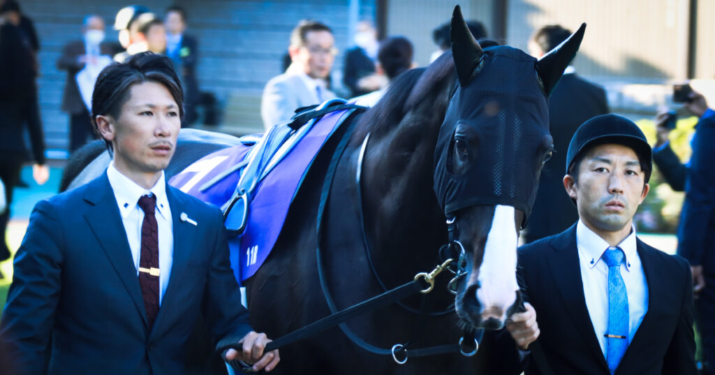 2023年10月29日、東京競馬場で行われた天皇賞（秋）のパドックを堂々と周回するイクイノックスの姿